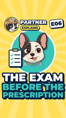 Partner Explains: The exam before the prescription video thumbnail