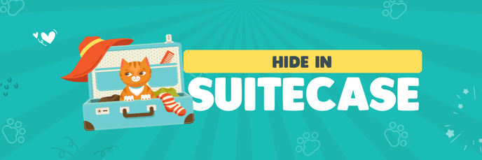 Hide in Suitecase