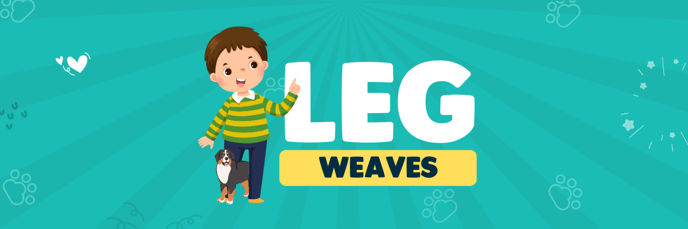 Leg Weaves