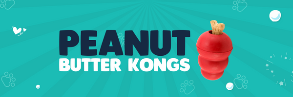 peanut butter kongs